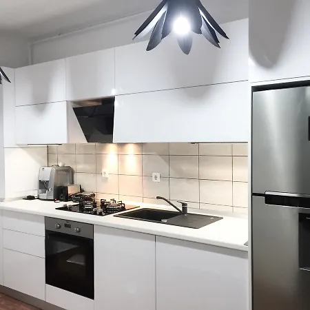 公寓 Deluxe Nicolle Plus Apartment 康斯坦察