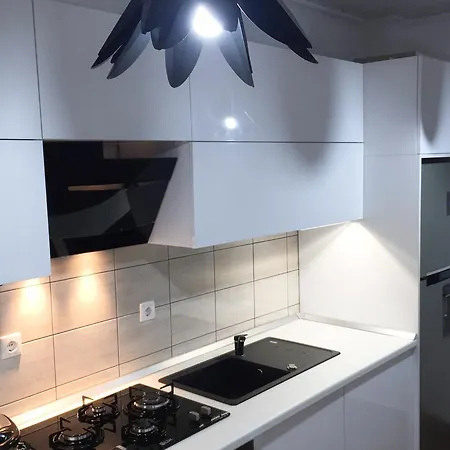 Deluxe Nicolle Plus Apartment 公寓 康斯坦察